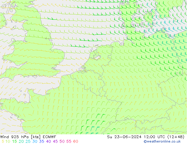 Vent 925 hPa ECMWF dim 23.06.2024 12 UTC