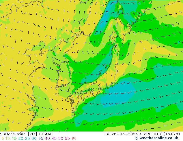  10 m ECMWF  25.06.2024 00 UTC