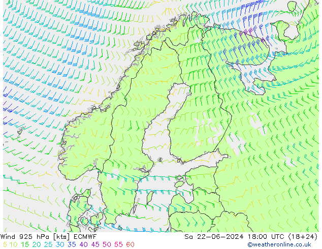  925 hPa ECMWF  22.06.2024 18 UTC