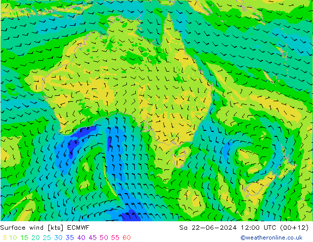 Surface wind ECMWF Sa 22.06.2024 12 UTC