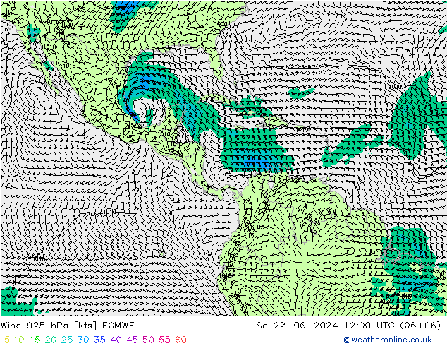 Viento 925 hPa ECMWF sáb 22.06.2024 12 UTC