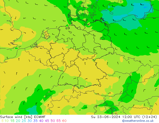 Bodenwind ECMWF So 23.06.2024 12 UTC