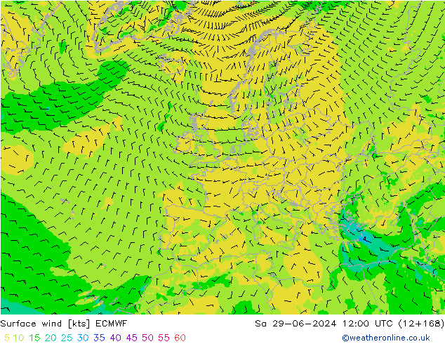 Surface wind ECMWF Sa 29.06.2024 12 UTC