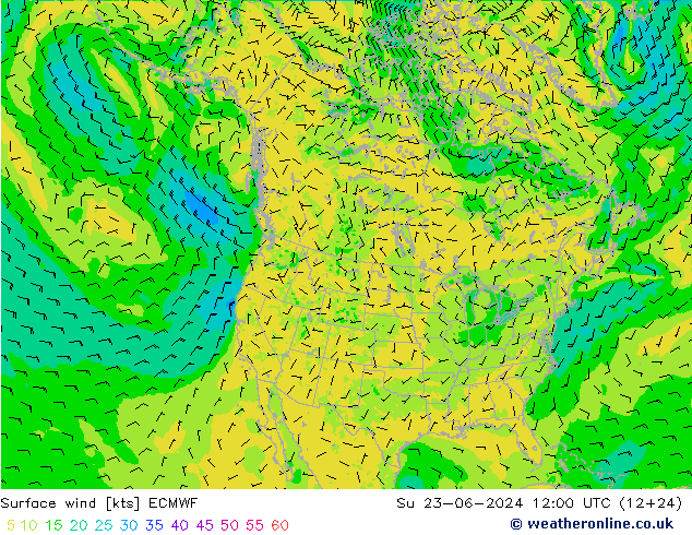 Viento 10 m ECMWF dom 23.06.2024 12 UTC