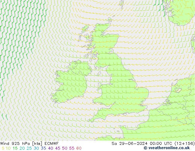ветер 925 гПа ECMWF сб 29.06.2024 00 UTC
