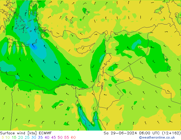 ветер 10 m ECMWF сб 29.06.2024 06 UTC