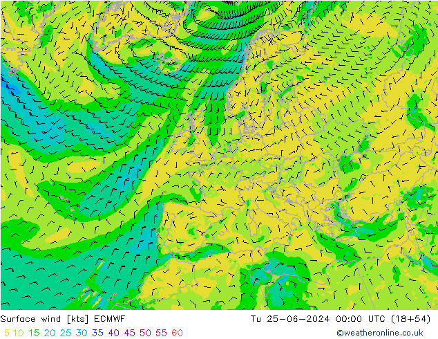 Surface wind ECMWF Tu 25.06.2024 00 UTC