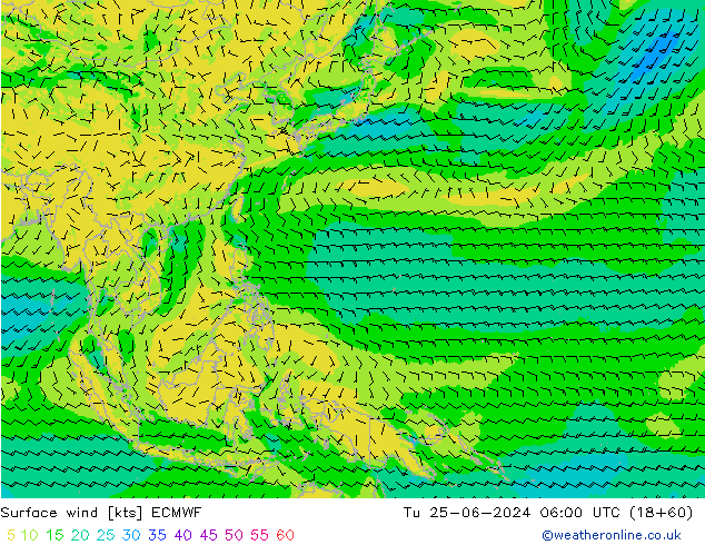 Vent 10 m ECMWF mar 25.06.2024 06 UTC