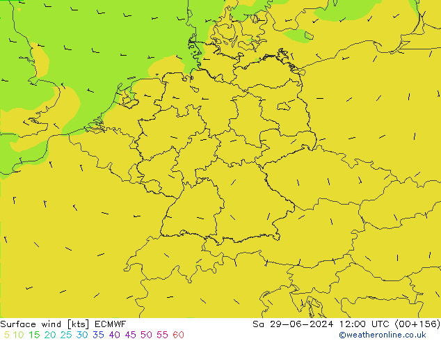 Surface wind ECMWF Sa 29.06.2024 12 UTC