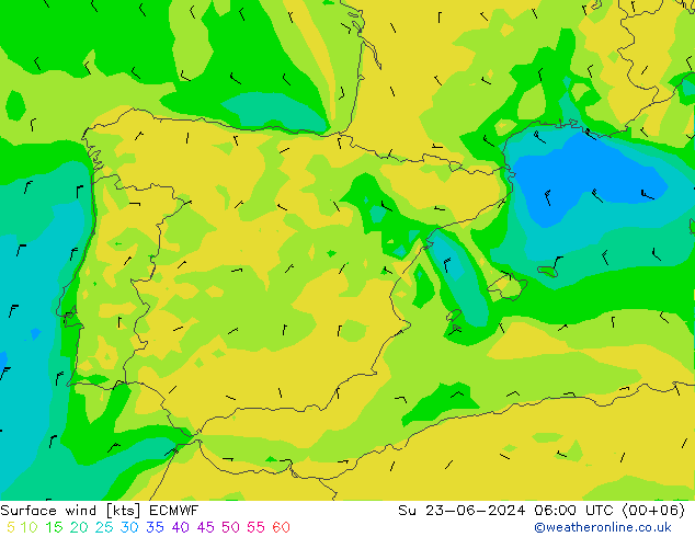 Surface wind ECMWF Su 23.06.2024 06 UTC