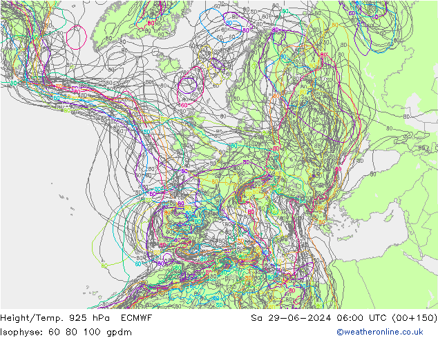 Géop./Temp. 925 hPa ECMWF sam 29.06.2024 06 UTC