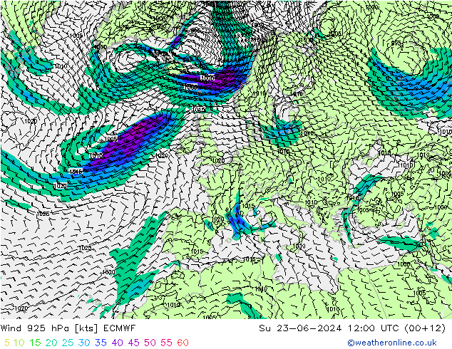 wiatr 925 hPa ECMWF nie. 23.06.2024 12 UTC