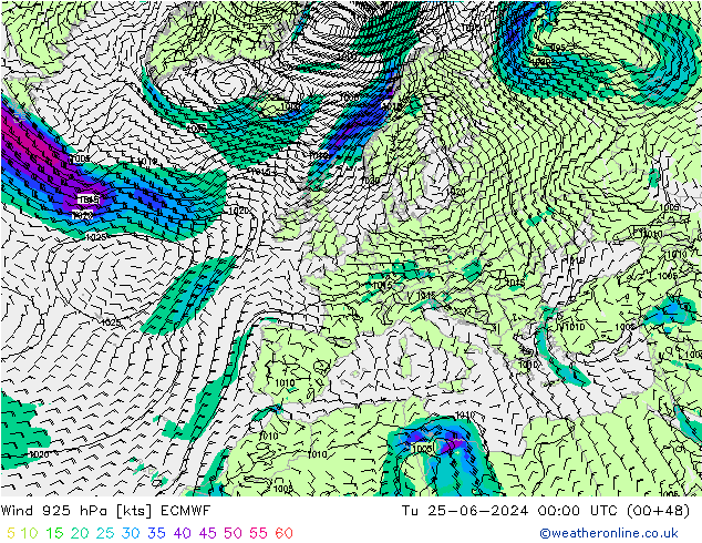 ветер 925 гПа ECMWF вт 25.06.2024 00 UTC