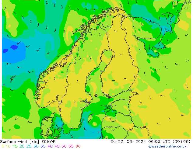  10 m ECMWF  23.06.2024 06 UTC