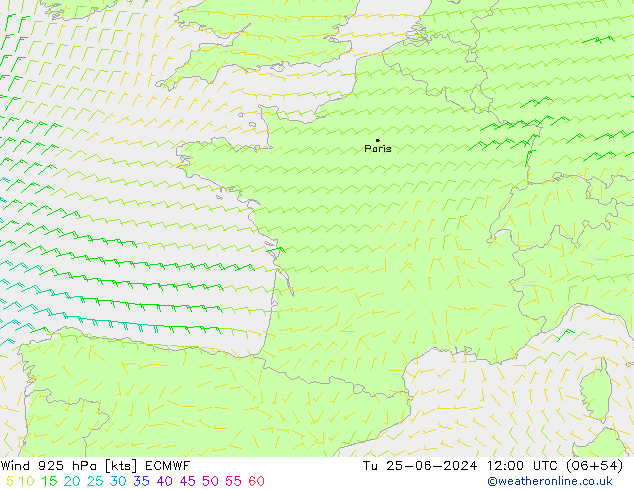 Wind 925 hPa ECMWF Tu 25.06.2024 12 UTC