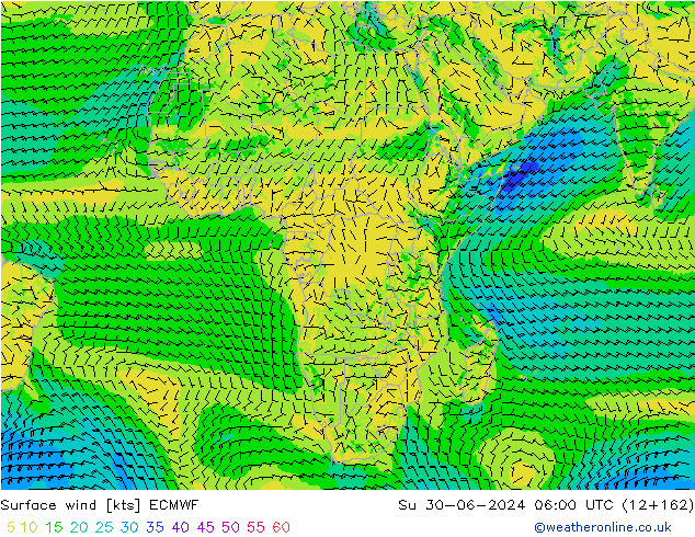 Wind 10 m ECMWF zo 30.06.2024 06 UTC