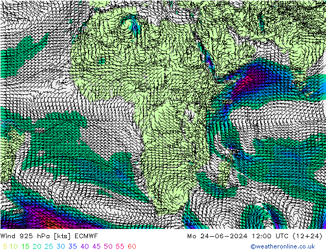 Wind 925 hPa ECMWF Mo 24.06.2024 12 UTC