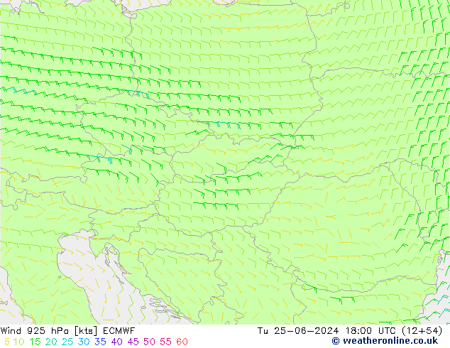 ветер 925 гПа ECMWF вт 25.06.2024 18 UTC