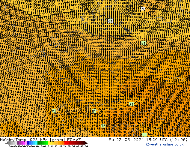 Geop./Temp. 925 hPa ECMWF dom 23.06.2024 18 UTC