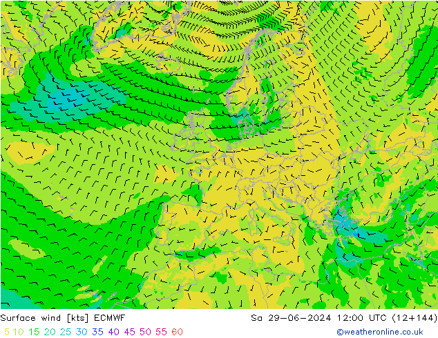 Surface wind ECMWF Sa 29.06.2024 12 UTC