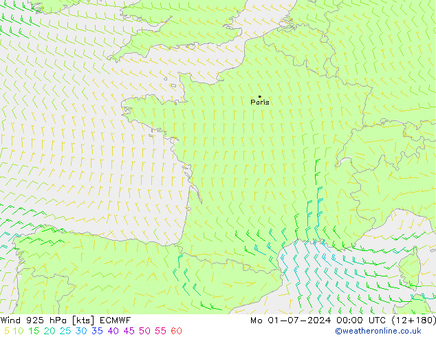 Wind 925 hPa ECMWF ma 01.07.2024 00 UTC