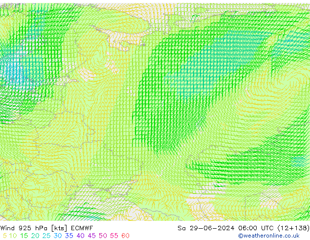 Wind 925 hPa ECMWF Sa 29.06.2024 06 UTC