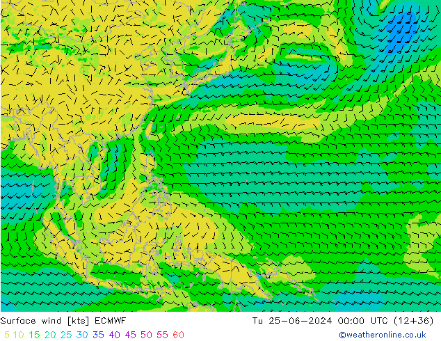 Wind 10 m ECMWF di 25.06.2024 00 UTC