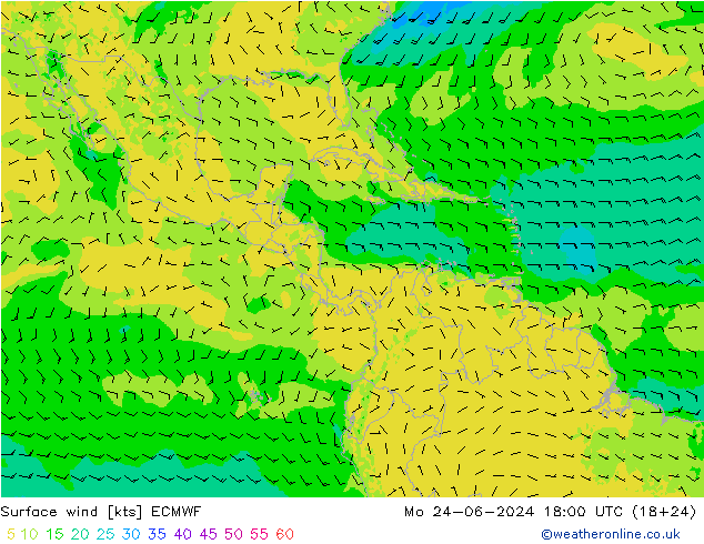 Vento 10 m ECMWF lun 24.06.2024 18 UTC