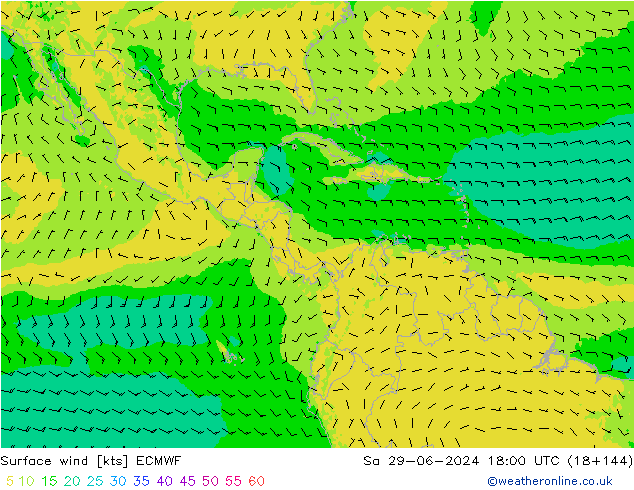 Surface wind ECMWF Sa 29.06.2024 18 UTC