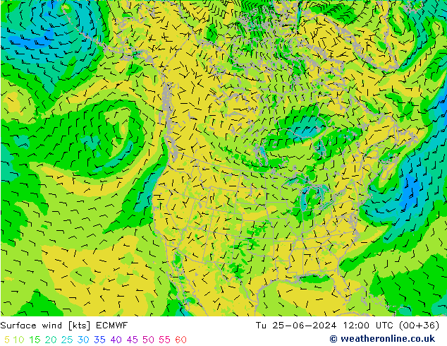 Rüzgar 10 m ECMWF Sa 25.06.2024 12 UTC