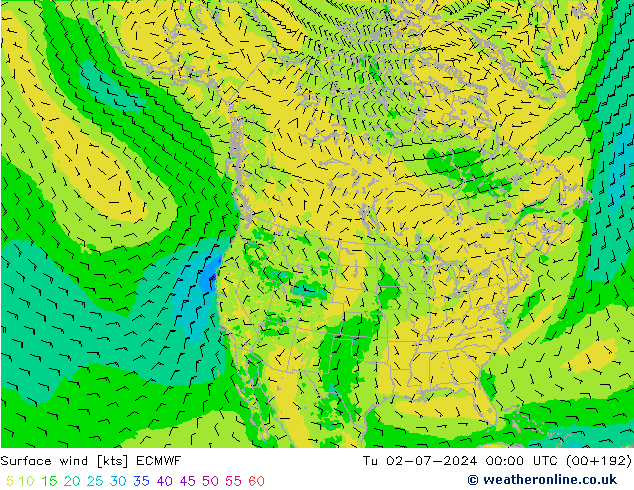 Surface wind ECMWF Tu 02.07.2024 00 UTC