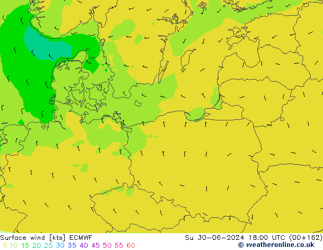 Surface wind ECMWF Su 30.06.2024 18 UTC