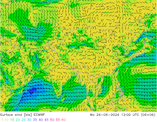 Wind 10 m ECMWF ma 24.06.2024 12 UTC