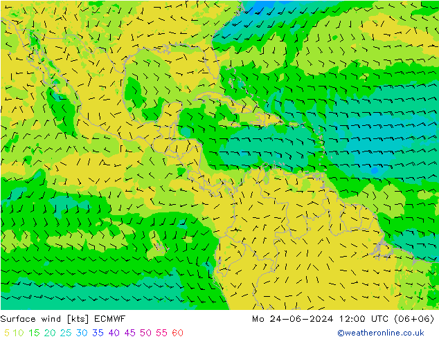 Surface wind ECMWF Po 24.06.2024 12 UTC