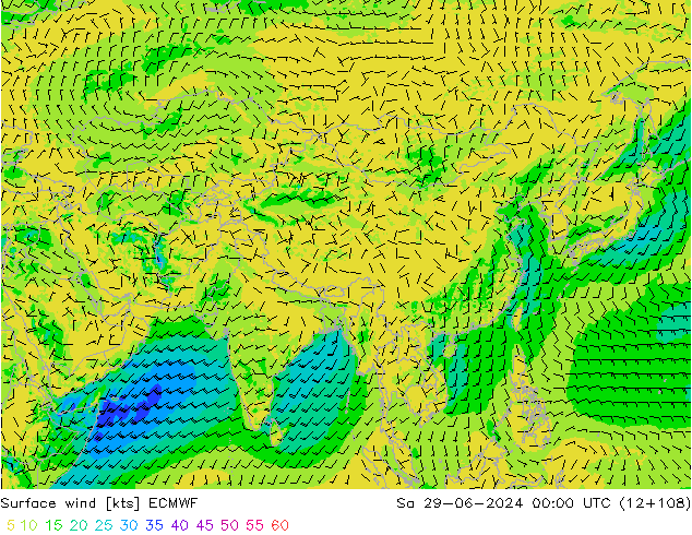  10 m ECMWF  29.06.2024 00 UTC