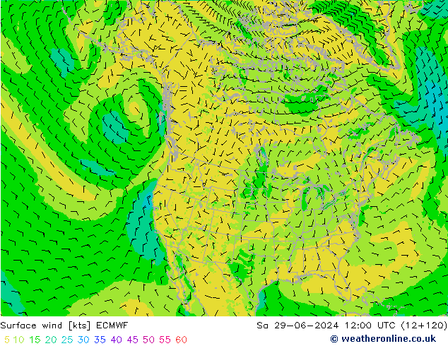 Surface wind ECMWF Sa 29.06.2024 12 UTC