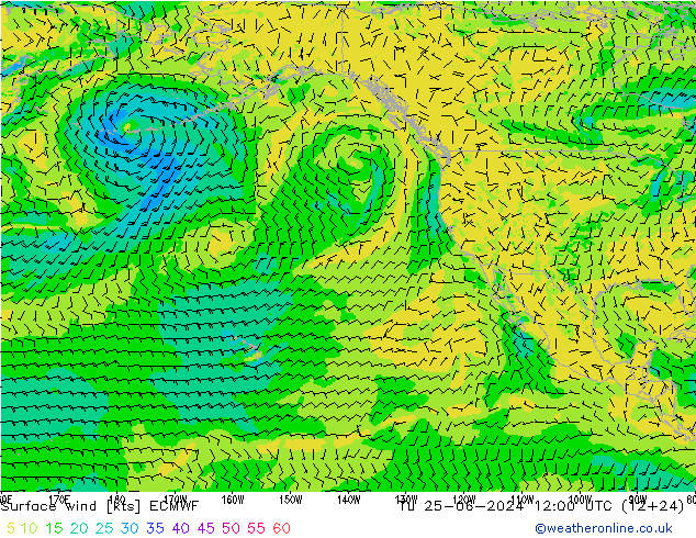 Vent 10 m ECMWF mar 25.06.2024 12 UTC