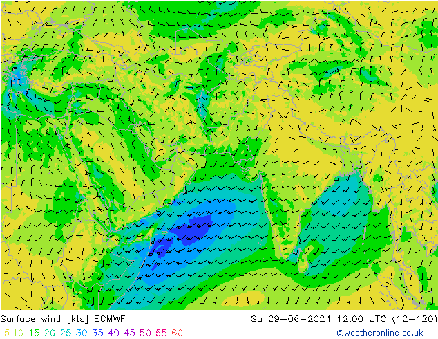 Rüzgar 10 m ECMWF Cts 29.06.2024 12 UTC