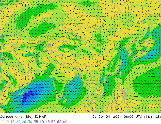 Surface wind ECMWF Sa 29.06.2024 06 UTC