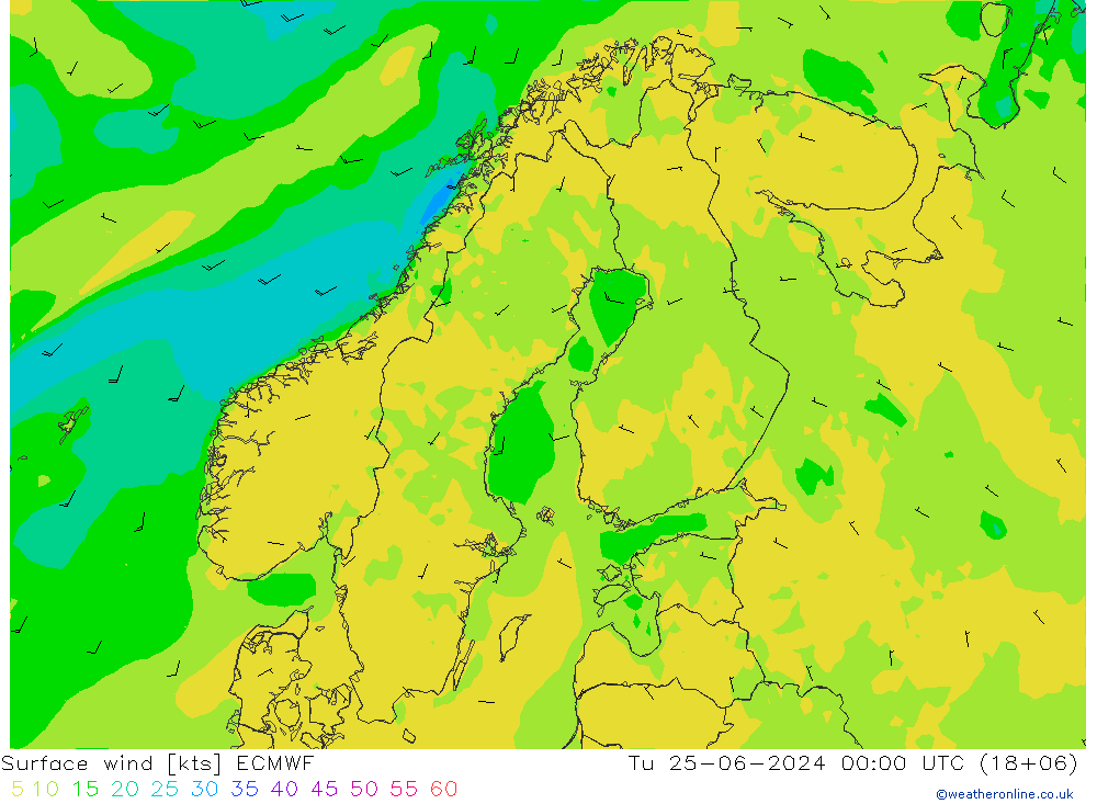 Surface wind ECMWF Tu 25.06.2024 00 UTC