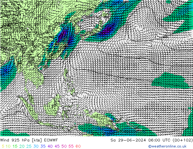 wiatr 925 hPa ECMWF so. 29.06.2024 06 UTC