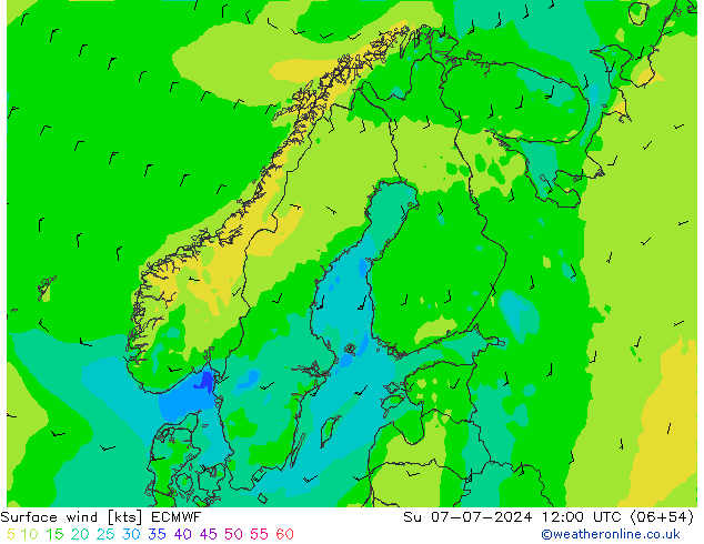 风 10 米 ECMWF 星期日 07.07.2024 12 UTC