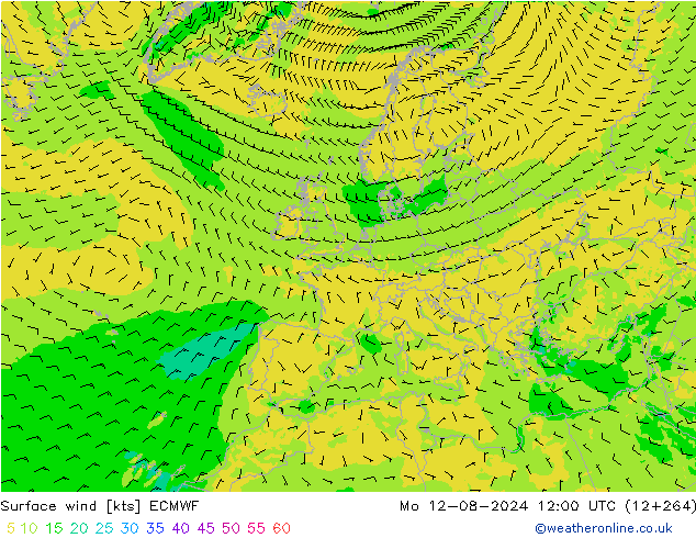 Wind 10 m ECMWF ma 12.08.2024 12 UTC