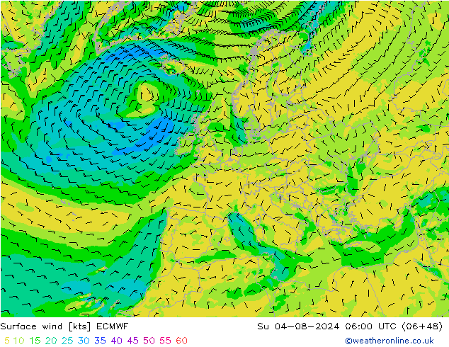 Wind 10 m ECMWF zo 04.08.2024 06 UTC