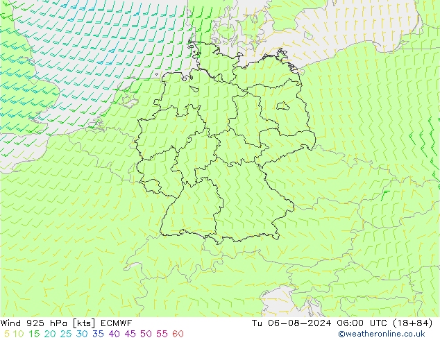 Wind 925 hPa ECMWF di 06.08.2024 06 UTC