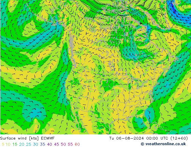 Wind 10 m ECMWF di 06.08.2024 00 UTC