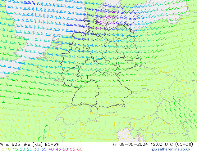 风 925 hPa ECMWF 星期五 09.08.2024 12 UTC