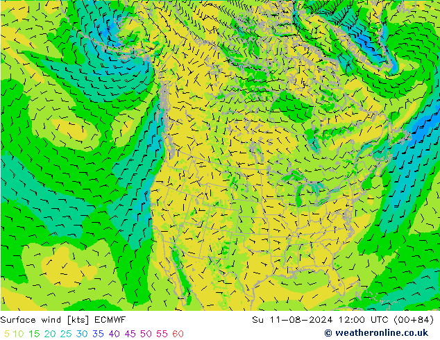 风 10 米 ECMWF 星期日 11.08.2024 12 UTC