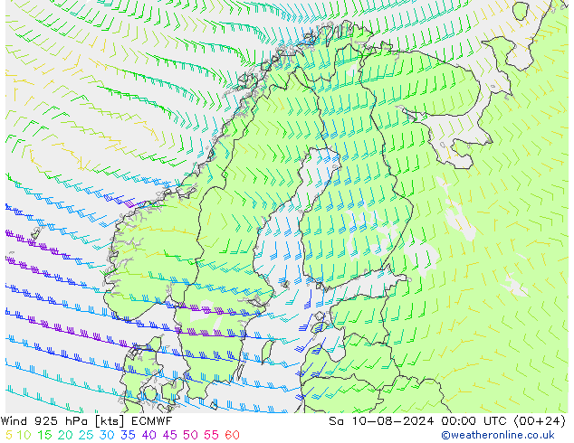 风 925 hPa ECMWF 星期六 10.08.2024 00 UTC