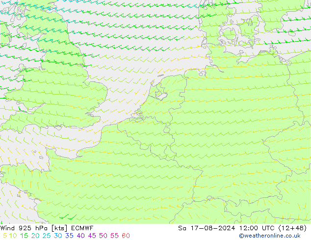 Wind 925 hPa ECMWF za 17.08.2024 12 UTC